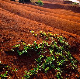 《魔骑少女》试玩Demo上线 年内正式发售
